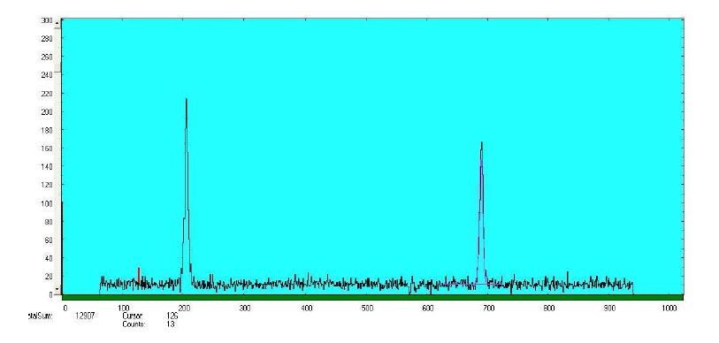 그림 14. (p,γ) 반응 및 감마선 비행시간 측정시스템에 의해 측정된 펄스빔 특성. (빔주기 250 ns, 빔 폭 (FWHM) 1.7 ns)