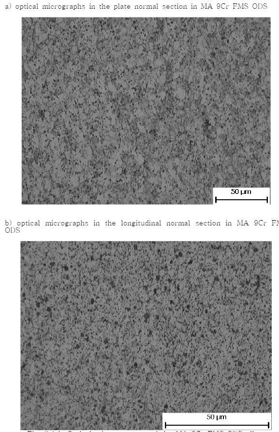 Fig. 2.4.1. Optical microstructure of the MA 9Cr FMS ODS alloy.