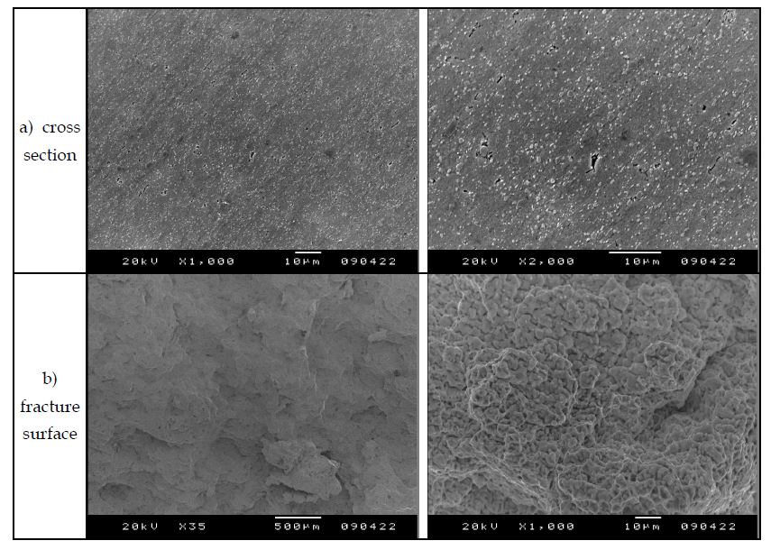 Fig. 2.4.3. SEM microstructure of the MA 9Cr FMS ODS specimen crept at700℃ under 160 MPa..