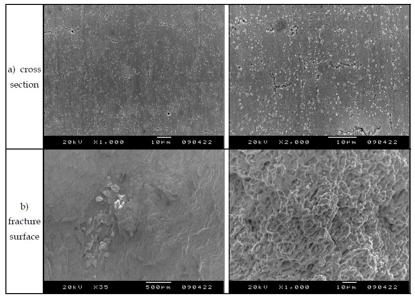 Fig. 2.4.4. SEM microstructure of the MA 9Cr FMS ODS specimen crept at700℃ under 140 MPa.