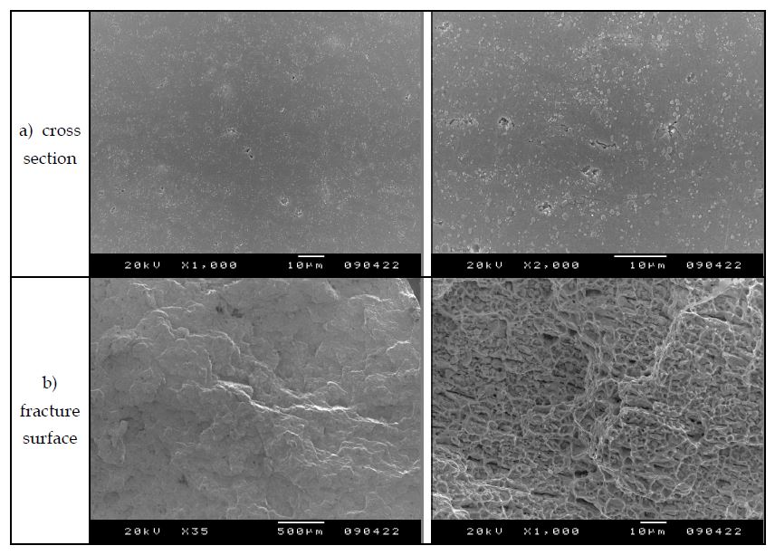 Fig. 2.4.5. SEM microstructure of the MA 9Cr FMS ODS specimen rept at700℃ under 120 Mpa