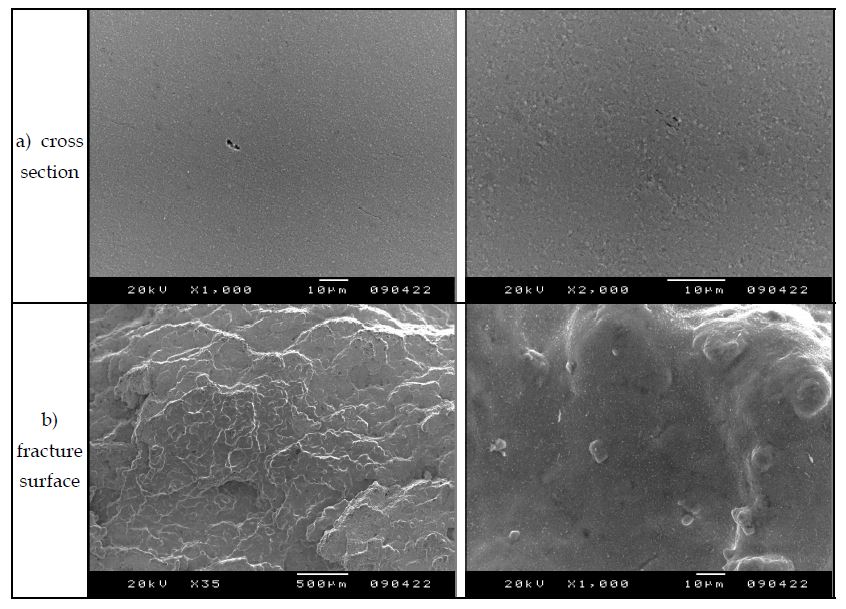 Fig. 2.4.6. SEM microstructure of the MA 9Cr FMS ODS specimen crept at700℃ under 100 MPa.