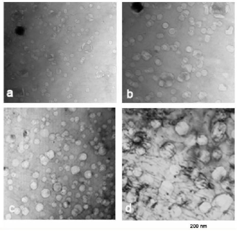 Fig. 2.5.12. Typical morphology of cavities in the peak damaged region inMA 956 ODS alloy, a) 5 dpa at 440℃, b) 10 dpa at 440℃, c) 5 dpa at 570℃, and d) 10dpa at 570℃.