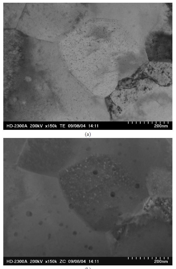 Fig. 2.7.1. STEM micrographs of MA 316L ODS alloy specimens showing (a)BF(Bright Field) image and (b) HAADF (High Angle Angular Dark Field) imageshowing the atomic number contrast of the second phase