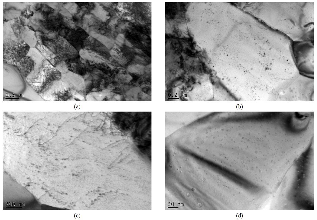 Fig. 2.8.1. TEM micrographs of 12 Cr Fe-bas ODS alloy specimens showing (a) grain structure withdislocation and (b), (c) and (d) fine oxide dispersion within grains