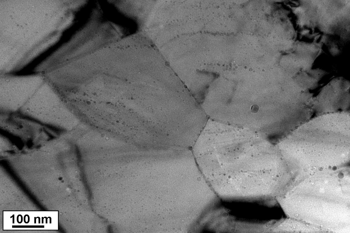 Fig. 2.8.3. Typical BF TEM image of the 12Cr ODS steel sample.