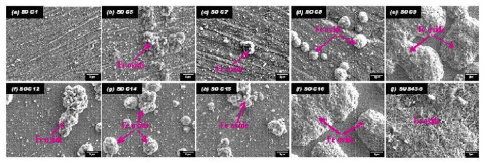 Fig. 6.26. Surface morphologies of specimens after corrosion tes