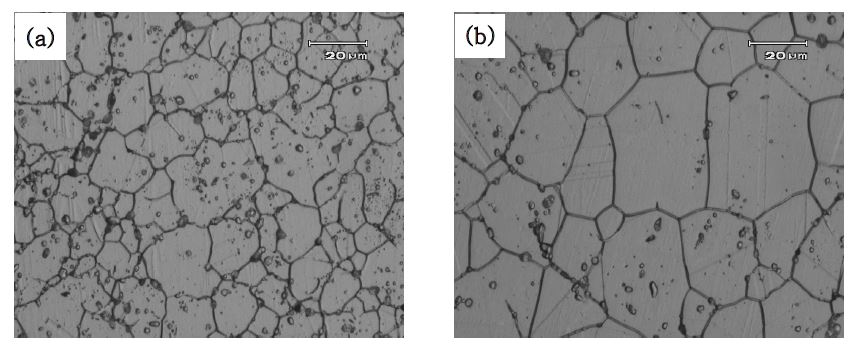 Fig. 2.2.11. Microstructures of two austenitic ODS steels after heattreatment at 1150℃ for 1 hr treated by: (a) M1: mechanical milling and (b)W2: wet mixing