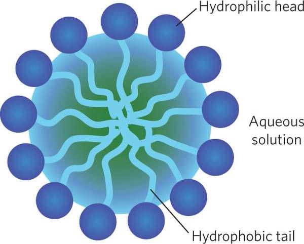블록공중합체 미셀 구조