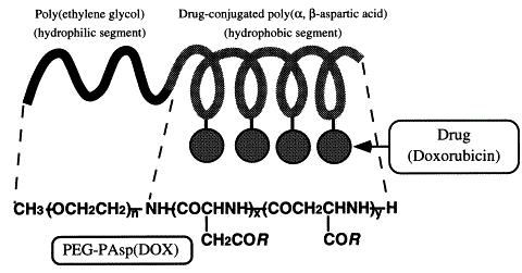 항암제 운반 블록 공중합체의 구조