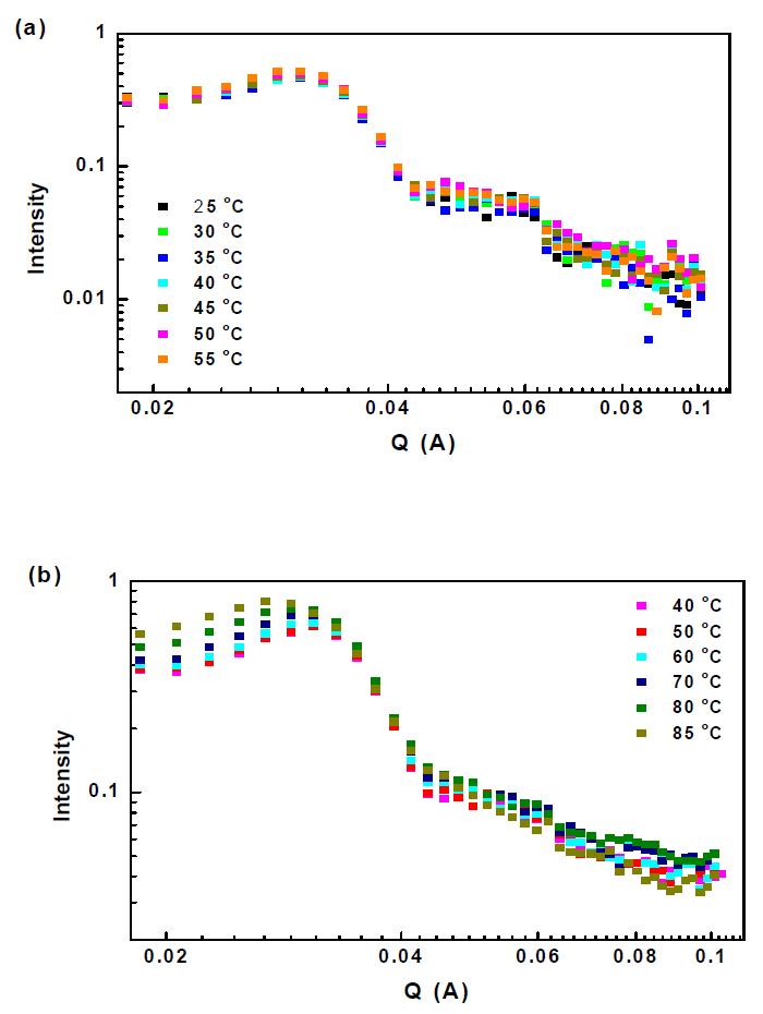 dPS-b-PEO 미셀의 온도별 SANS 결과
