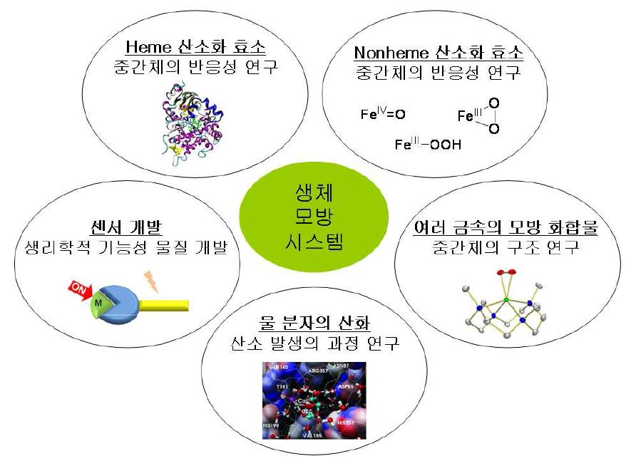 생체 모방 시스템 연구단에서 수행할 연구 과제