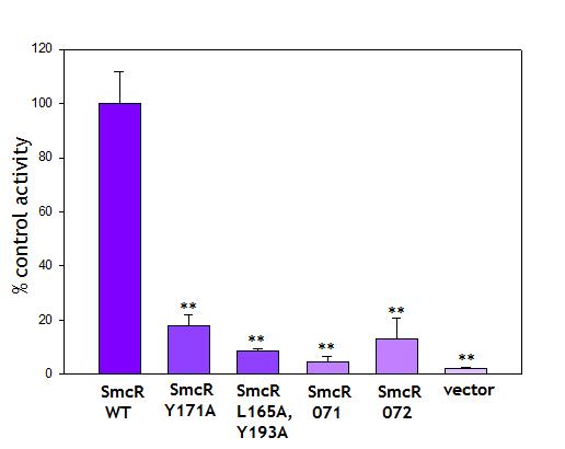 Both a-helices 9 and 10 are essential for dimerization. A protein-protein interaction was measured using bacterial two-hybrid system in E. coli [Karimova, G. et al. 1998].
