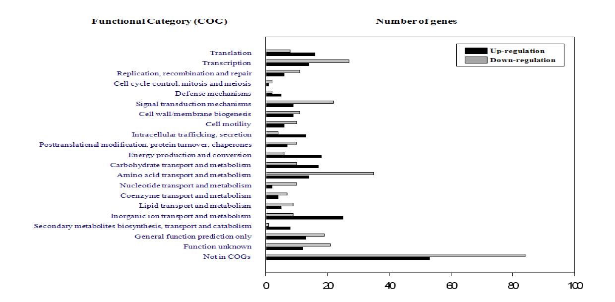 Number of genes regulated by SmcR.