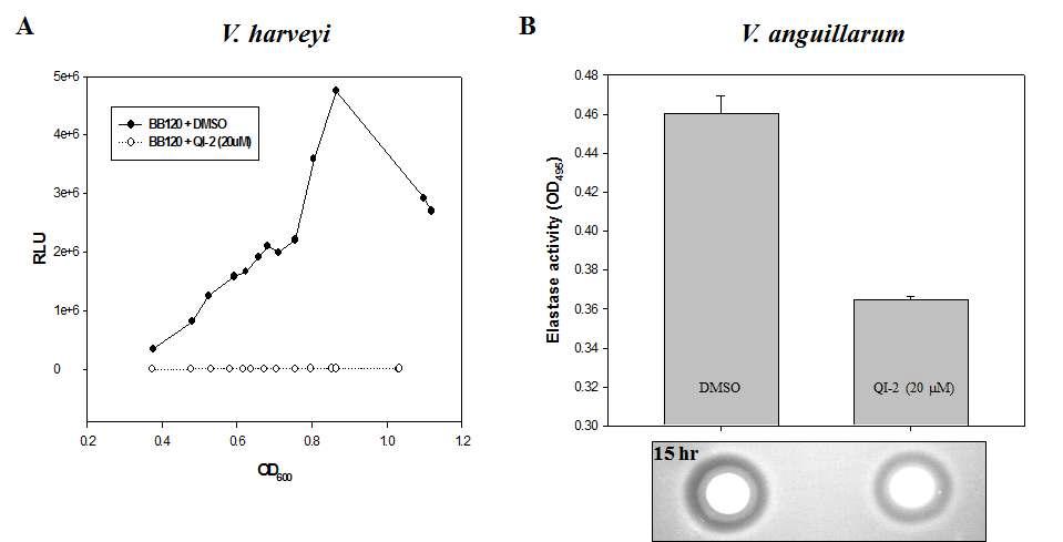 Effects of the QI-2 on the luminescence of Vibrio harveyi and the activities of elastase in Vibrio anguillarum.