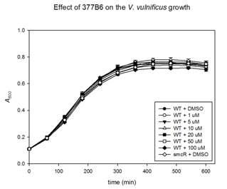 Effect of QI-6 (377B6) on the growth of V.vulnificus. No significant difference in the growth rate of V. vulnificus was observed in the presence of various levels of QI-6 (377B6).