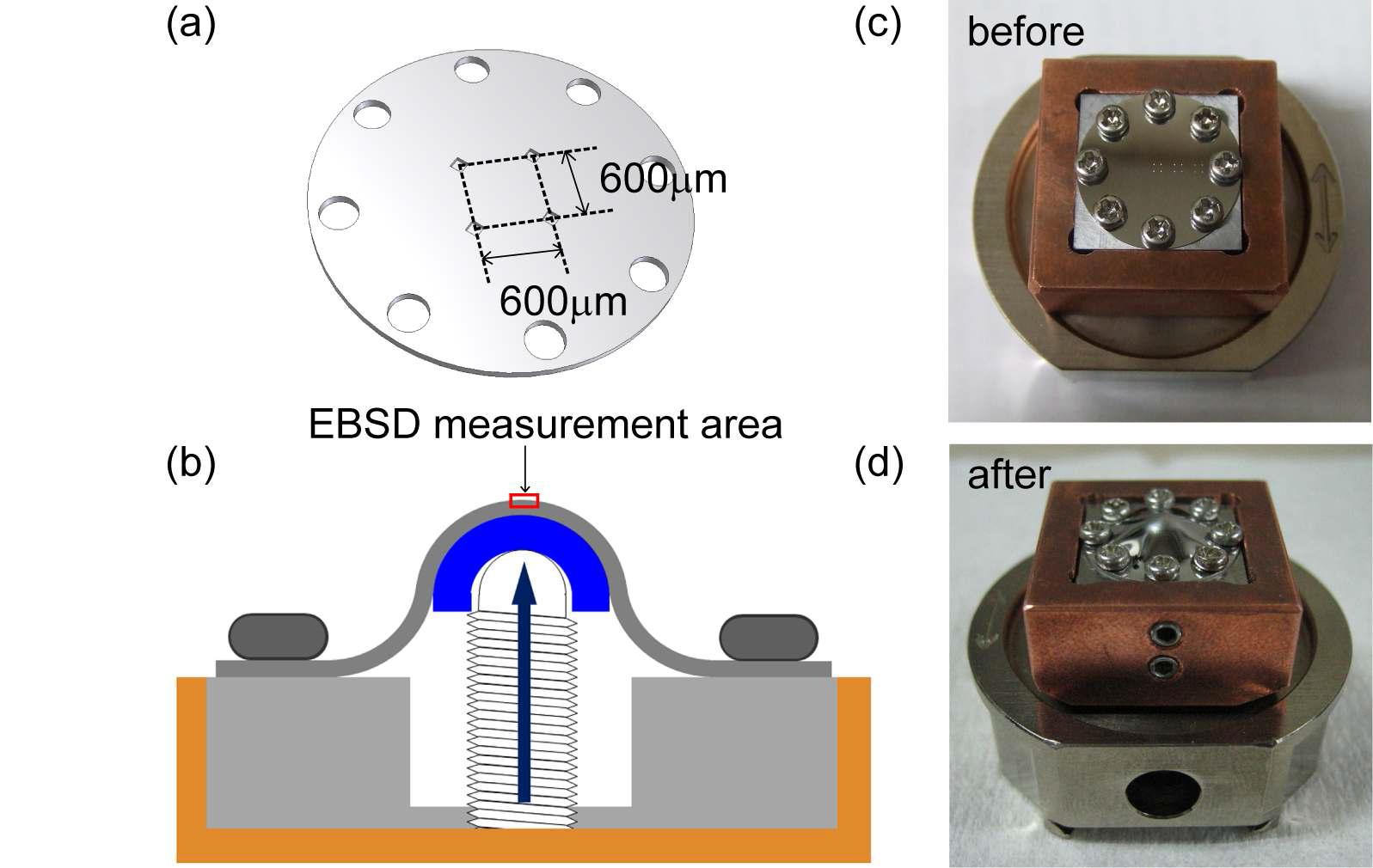Schematic diagram and digital images of equi-biaxial tensile deformation device for EBSD measurement.