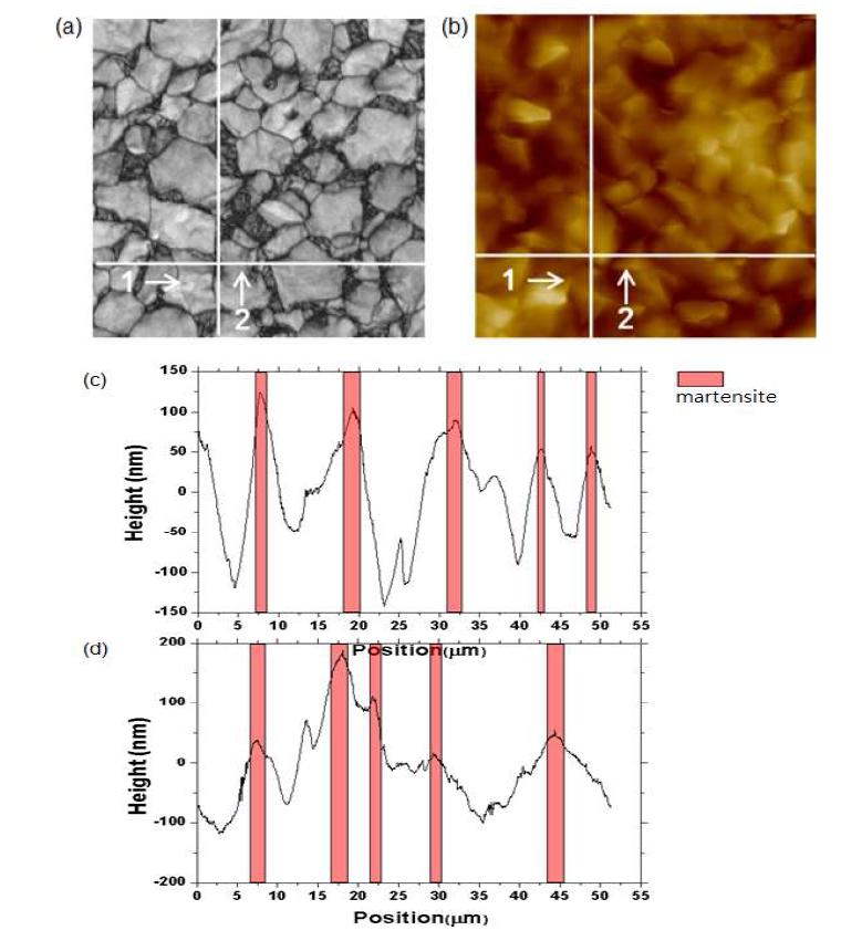 (a)EBSD BC image, (b)AFM topography and AFM line profiles along (c)line 1 and (d)line 2 of the DP steel after 0.1 von Mises equivalent strain, respectively
