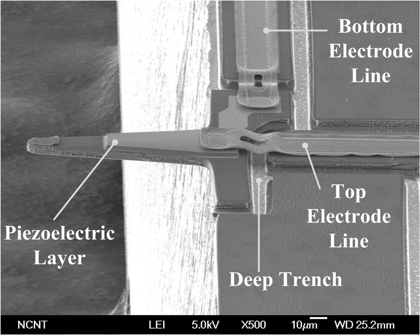 Scanning electron microscopy (SEM) image of the developed PEMS.