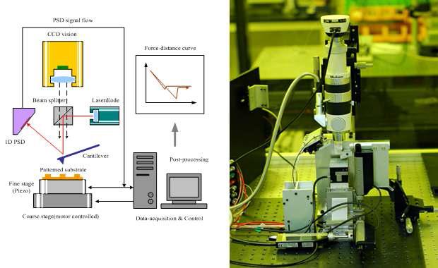 자체 제작한 AFM 기반의 측정 시스템