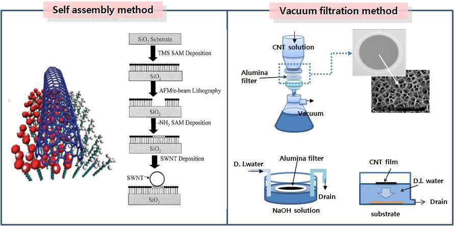 탄소나노튜브 필름 제작 방법