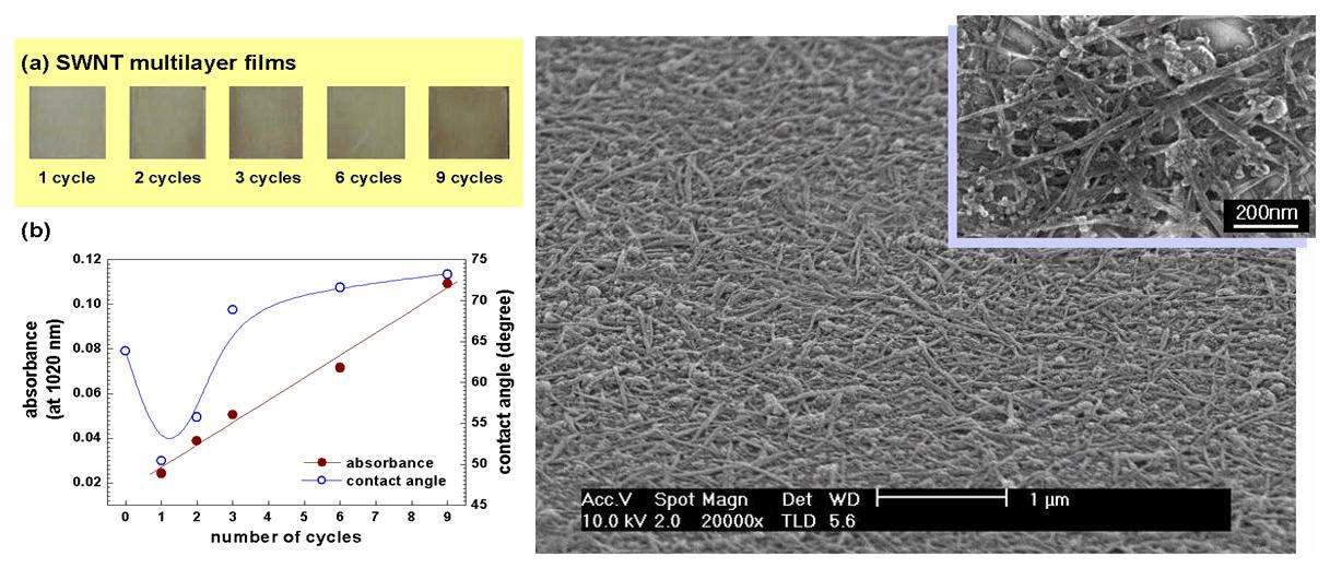 기판에 고밀도로 고정된 탄소 나노튜브 필름의 optical and SEM image