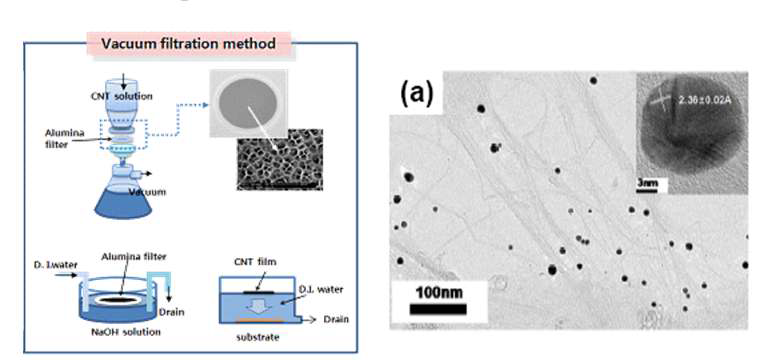 (좌) Vacumn filtration을 이용한 탄소나노튜브 필름 제작 방법 (우) 금속(Au) 도핑이 된 탄소나노튜브의 투과전자현미경 (TEM) 결과