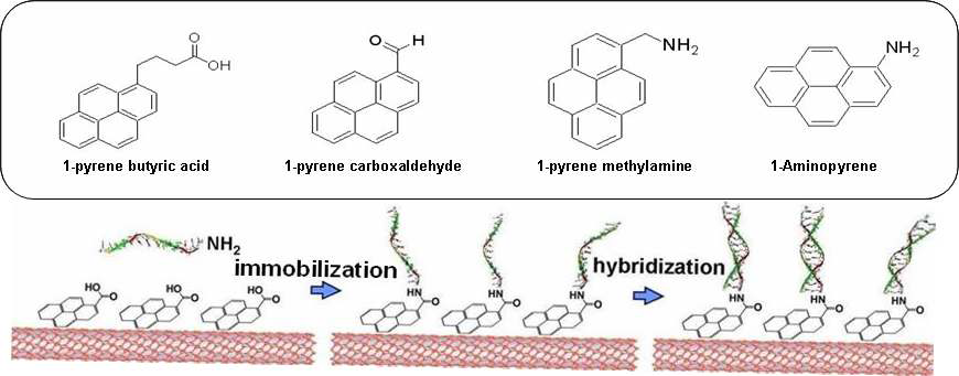 (위) 탄소나노튜브와 pi-pi interaction이 가능한 pyren 분자체의 종류.