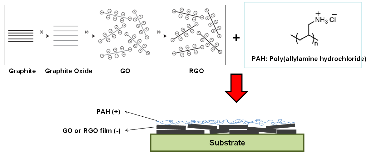 Graphite로부터 Graphene Oxide와 Reduced-Graphene Oxide를 제조하고, 바이오물질과 친화력이 있는 투명 전도성 필름의 제작 개념도