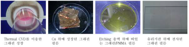 그래핀 성장 및 전사 단계를 나타내는 사진