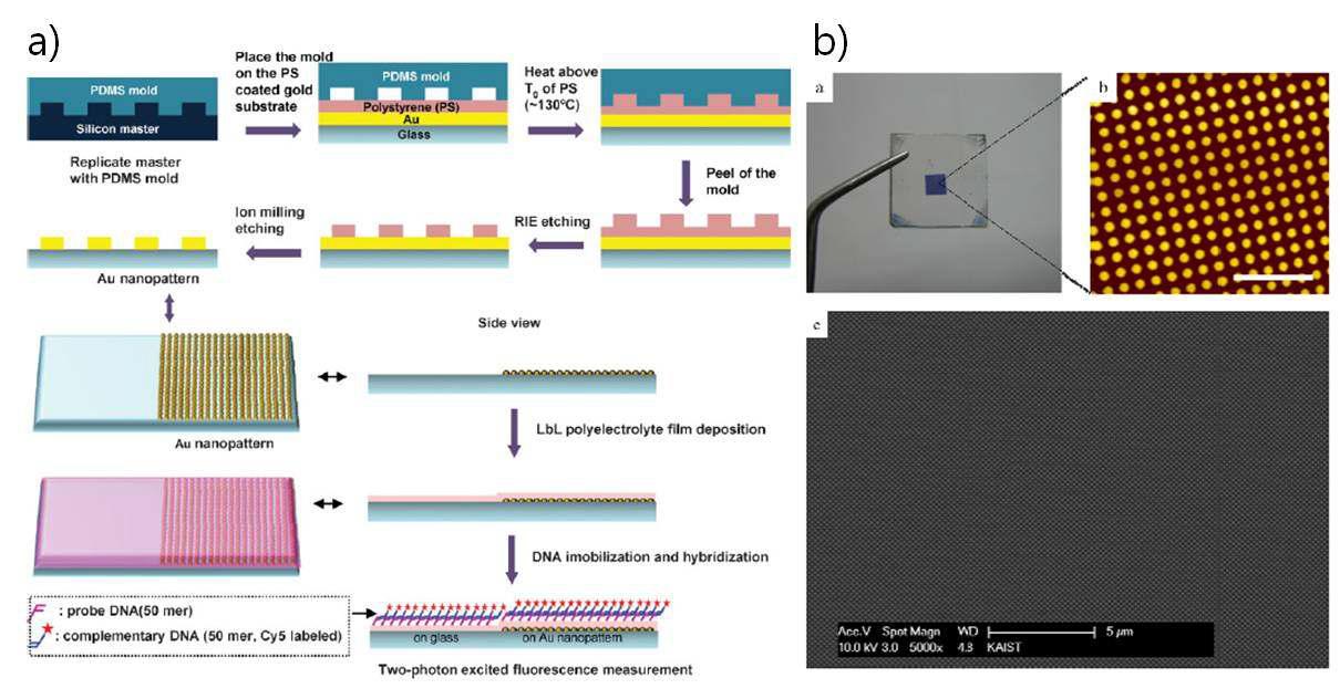 a) 금나노 패턴 형성 및 MEF 현상을 이용한 바이오 물질 검출 개략도 b) 대면적에 형성된 금 나노 dot 패턴들의 현미경, AFM 및 SEM 사진