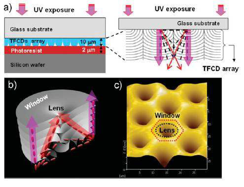 a) 액정 결함구조를 광식각 공정 마스크로 이용한 공정 모식도 및 b, c) 액정결함구조의 microlens 모식도