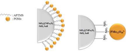 10. NiFe2O4@SiO2/SiO2 표면의 APTMS에 부착된 PMo12O403- 결합 스킴