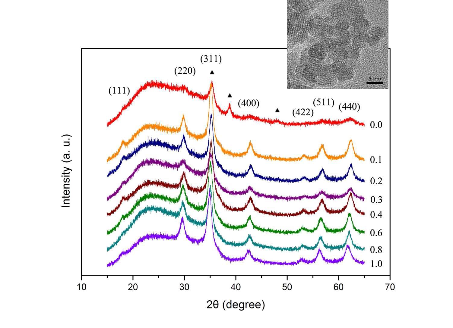 Cu1-xZnxFe2O4 NPs의 XRD data. ▲는 CuO의 주요 peak를 나타내고 그래프 위의 숫자는 x 값이며, 삽입된 이미지는 Cu0.5Zn0.5Fe2O4 NPs 의 TEM 이미지