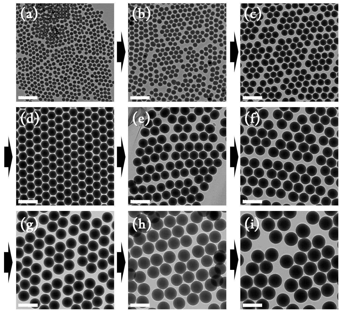 구형 core SiO2의 TEM 사진. 평균 지름 값과 표준 편차의 값은 각각 (a) 75 ± 4.62 nm, (b) 96 ± 6.60 nm, (c) 134 ± 2.74 nm, (d) 172 ± 8.61 nm, (e) 199 ± 6.27 nm, (f) 221 ± 8.74 nm, (g) 232 ± 6.27 nm, (h) 284 ± 8.12 nm and (i) 336 ± 6.29 nm 임. 스케일 바는 모두 400 nm를 나타냄