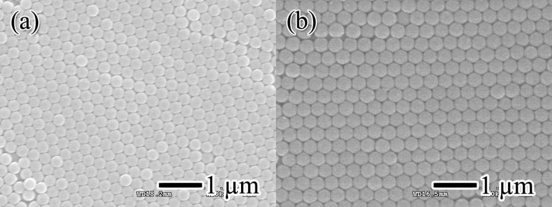 합성된 구형 실리카 마이크로입자의 SEM 사진. 구형 입자의 평균 지름 값은 각각 (a) 240 nm, (b) 305 nm