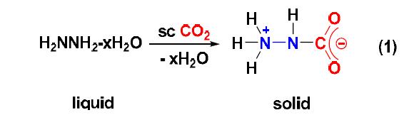 액상히드라진과 이산화탄소 반응으로 고체 히드라진를 만드는 과정