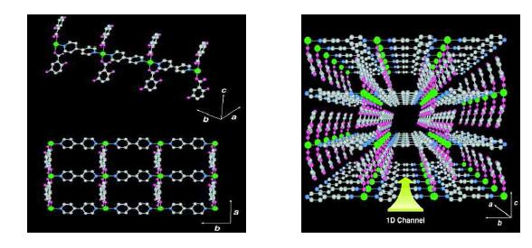 금속이온이 유기 분자 분자로 연결된 metal-organic-framework 구조를 갖는 대표적인 화합물. 낮은 온도에서 약한 상자기적 특성을 가지고 있음