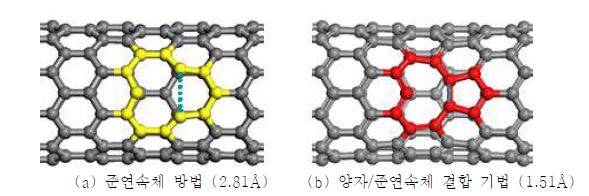 그림 79. 하나의 공공을 가지는 단일벽 탄소나노튜브에 대해 얻은 평형상태