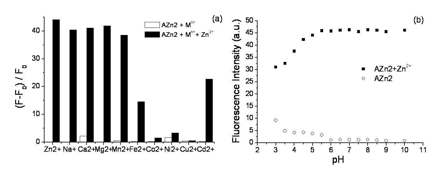 Figure 15. (a) The relative fluorescence intensity of 1 μM AZn2 in the presence of 2mM for Na+,Ca2+,Mg2+; 10 μM for Mn2+, Fe2+,Co2+, Ni2+, Cu2+, Cd2+ (empty bars)followed by addition of 1 μM of Zn2+ (filled bars). These data were measured in 30 mMMOPS buffer (100 mM KCl, 10 mM EGTA, pH 7.2). (b) Effect of the pH on theone-photon fluorescence intensity of 1 μM AZn2 in the presence of 0.0 (○) and 1 μM(■) of free Zn2+ in 30 mM MOPS and 100 mM KCl. The data at [Ca2+] = 0 μMwere determined by adding 10 mM EGTA. The excitation wavelength was 365 nm.