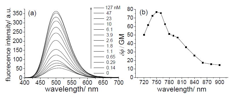 Figure 18. (a) Two-photon fluorescence spectra of 1 μM SZn-Mito in thepresence of free Zn2+(0-127 nM). The excitation wavelength is 760 nm. (b)Two-photon action spectra of SZn-Mito in the presence of 47 nM free Zn2+.These data were measured in 30 mM MOPS buffer (100 mM KCl, 10 mM EGTA,pH 7.2).