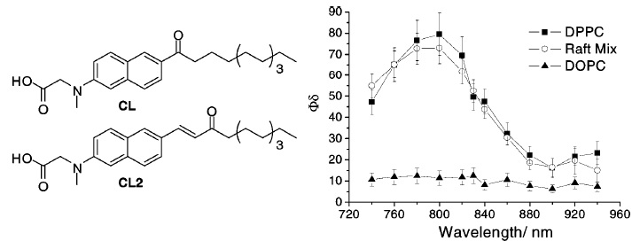 Figure 31. (left) The structures of CL and CL2. (right) Two-photon actionspectra of CL2 in DPPC (■), raft mixture (○) and DOPC (▲) (lipid/CL2= 50/1). These data were measured at 25 ± 0.5 °C.