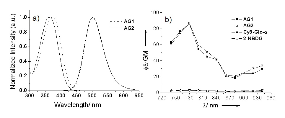 Figure 38. (a) One-photon absorption and emission spectra of AG1 and AG2 inPBS buffer (137 mM NaCl, 3 mM KCl, 10 mM Na2HPO4, 2 mM KH2PO4, pH7.4). (b) Two-photon action spectra of AG1, AG2, Cy3-Glc-?, and2-NBDG in PBS buffer.Figure 38. (a) One-photon absorption and emission spectra of AG1 and AG2 inPBS buffer (137 mM NaCl, 3 mM KCl, 10 mM Na2HPO4, 2 mM KH2PO4, pH7.4). (b) Two-photon action spectra of AG1, AG2, Cy3-Glc-?, and2-NBDG in PBS buffer.