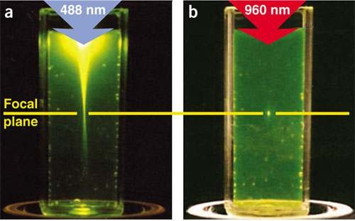 Figure 2. Comparison betweenone- and two-photon excitedfluorescence.