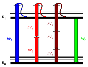 Figure 1. Mechanism of one-,two-, and three-photon excited fluorescence.