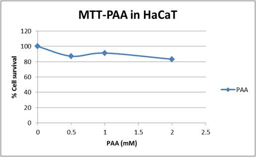 분산제 PAA의 세포독성