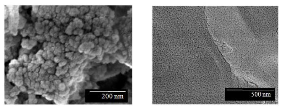 FE-SEM micrograph of non-aged catalyst(left) and ordinary sintering phenomena on the catalyst(right) which is manufactured by sputtering method
