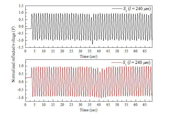 Normalized optical signals obtained by the FODS.