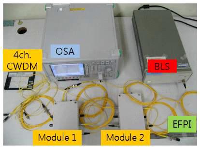 Experimental setup for multiplexing measurement w/ EFPI sensors