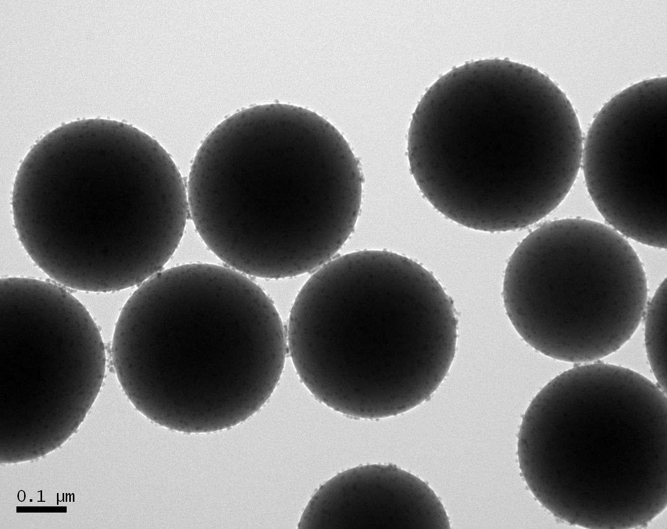 표면이 양자점으로 코팅된 실리카 나노입자의 TEM 사진